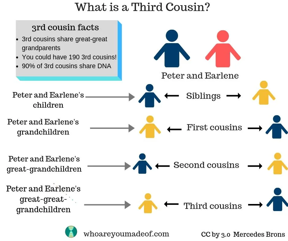 What Is A Third Cousin Who Are You Made Of