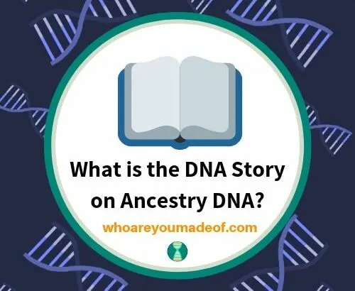 What is the DNA Story on Ancestry DNA_