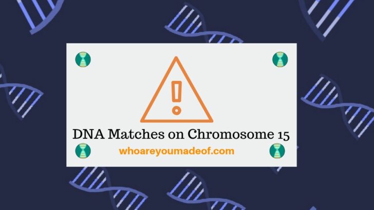 DNA Matches on Chromosome 15