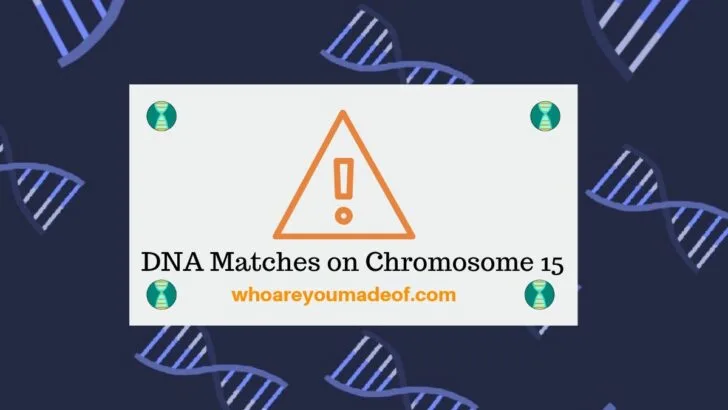 DNA Matches on Chromosome 15