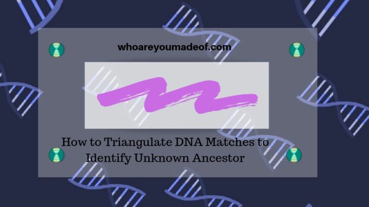 How to Triangulate DNA Matches to Identify Unknown Ancestor