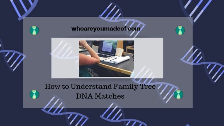 How to Understand Family Tree DNA Matches