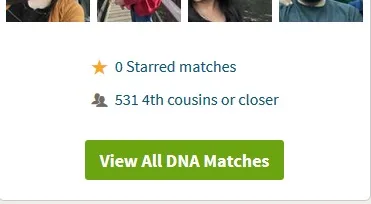 Two full siblings can have different numbers of DNA matches, and won't share all DNA matches in common