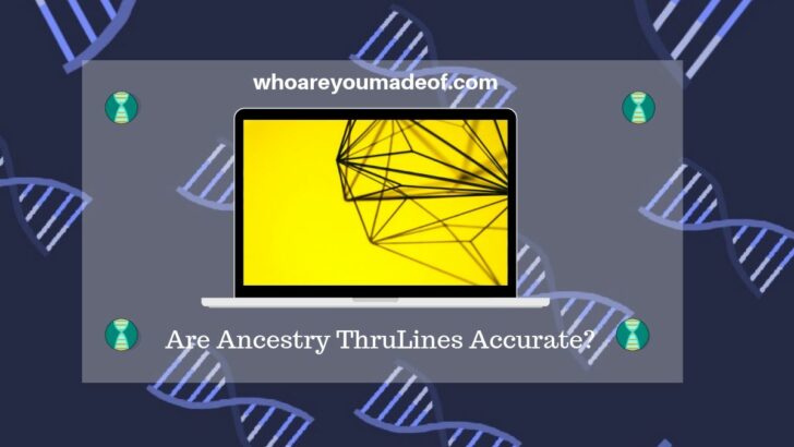 Are Ancestry ThruLines Accurate_