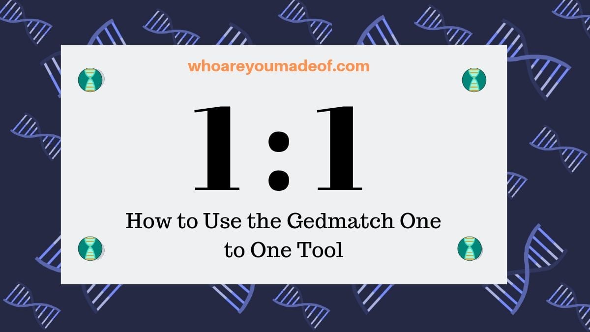 How to Use the Gedmatch One to One Tool