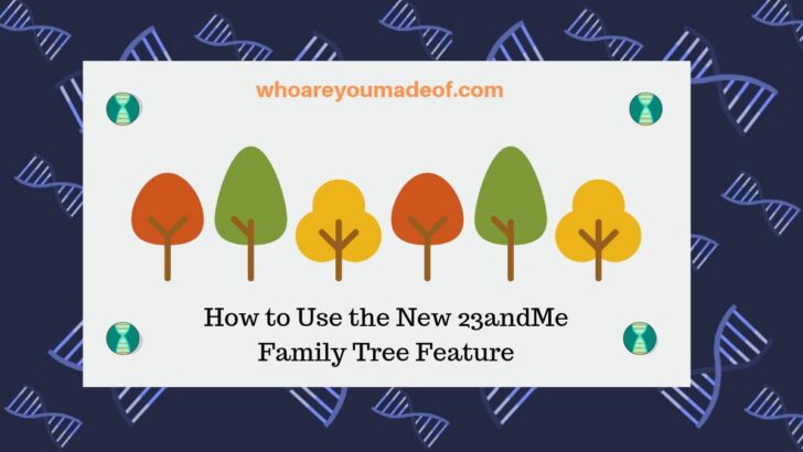 How to Use the New 23andMe Family Tree Feature