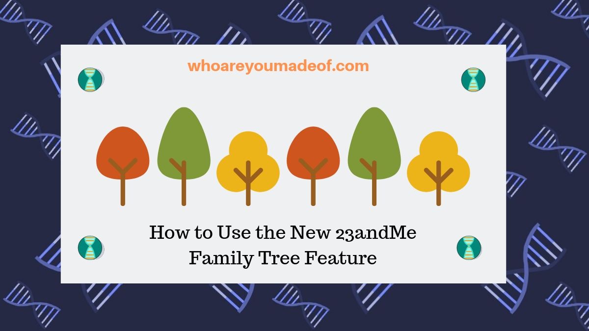How to Use the New 23andMe Family Tree Feature