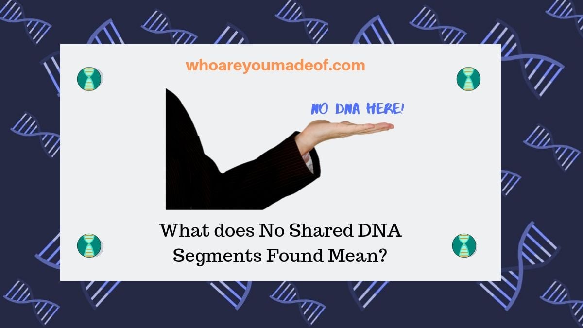 What does No Shared DNA Segments Found Mean_