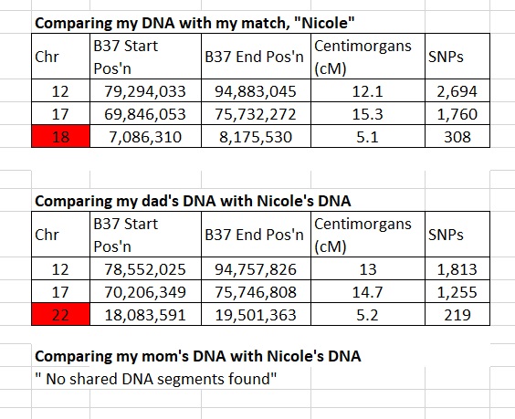 Image illustrating how it is possible to share segments with a match that are both real and false (IBS and IBD)