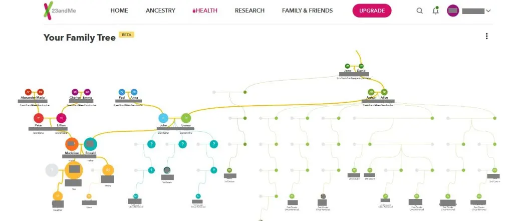 example of family tree feature on 23andme 