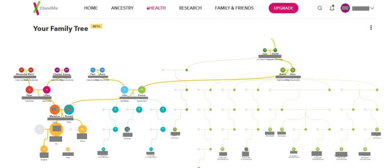 How To Use The New 23andMe Family Tree Feature - Who Are You Made Of?