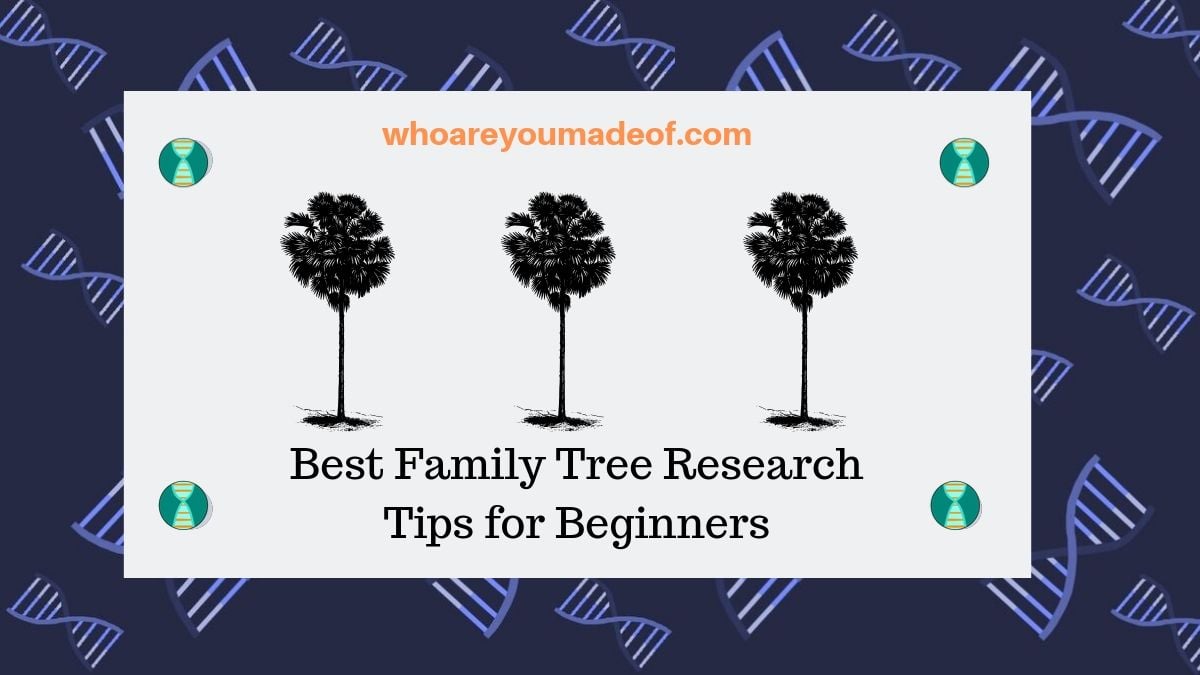 Best Family  Tree  Research Tips for Beginners  Who are You 