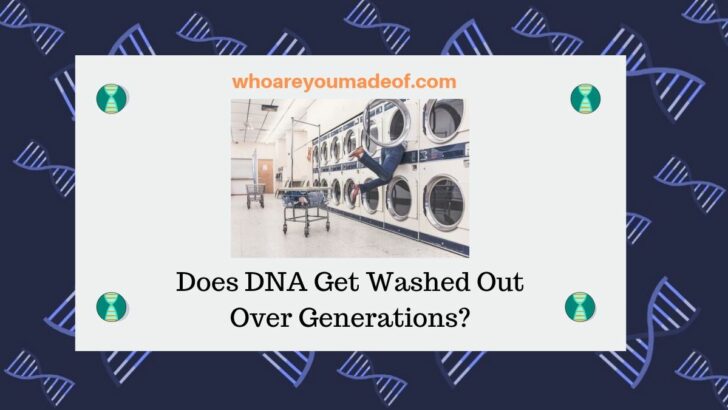 Does DNA Get Washed Out Over Generations_