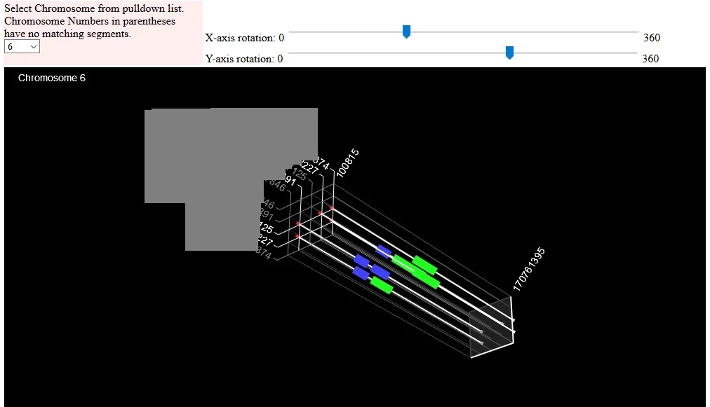 example of Gedmatch 3D chromosome browser