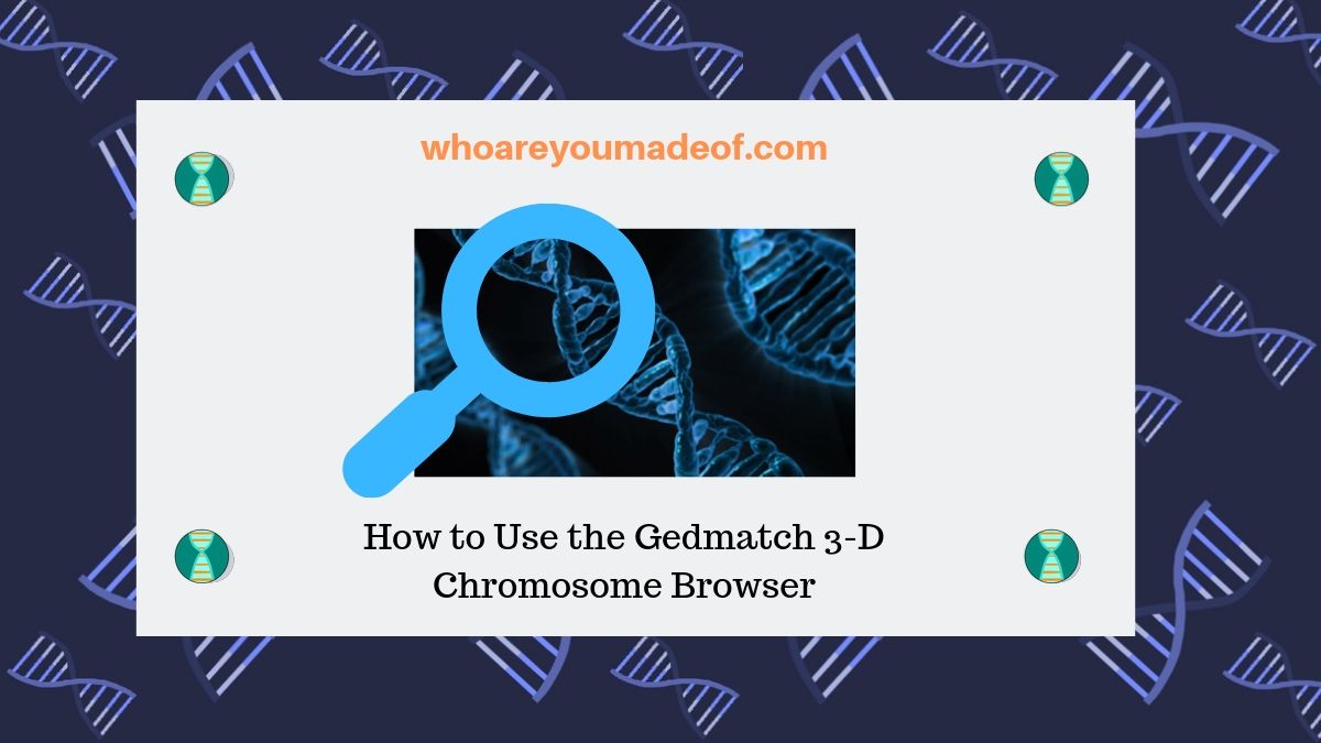 How to Use the Gedmatch 3-D Chromosome Browser