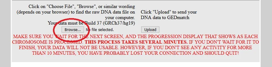 How to browse for raw dna file