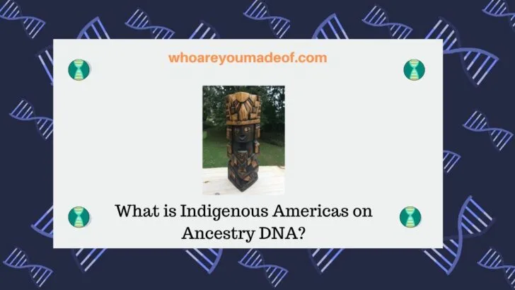 What is Indigenous Americas on Ancestry DNA_