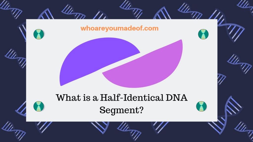 What is a Half-Identical DNA Segment_