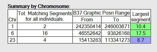 what does summary by chromosome mean on gedmatch chromosome browser