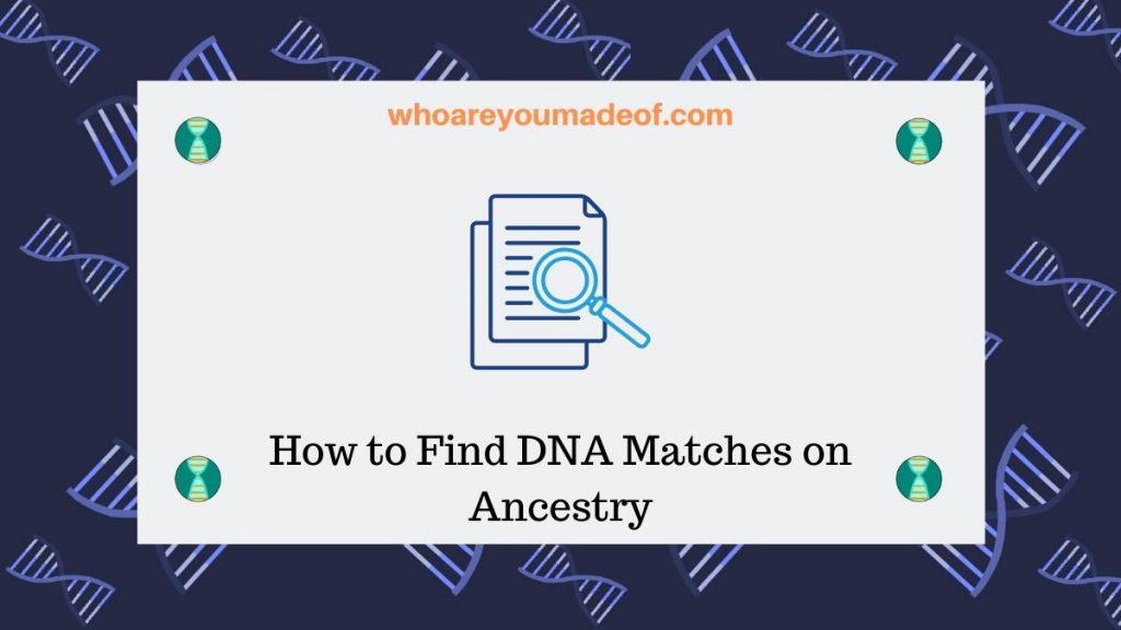 how can i sort my dna matches on ancestry