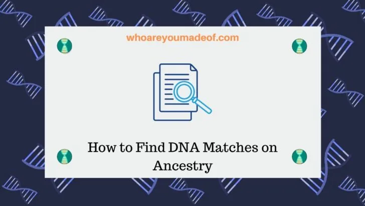 How to Find DNA Matches on Ancestry