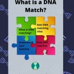 What is a DNA match?