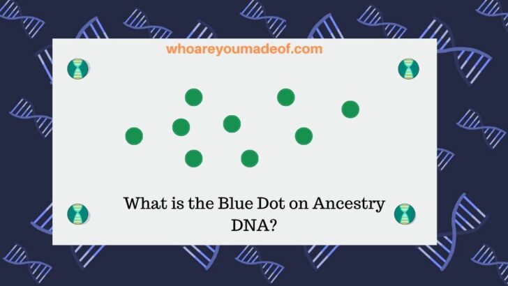 What is the Blue Dot on Ancestry DNA_