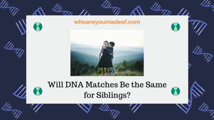Will DNA Matches Be the Same for Siblings_