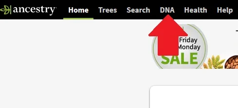 how to find dna matches on ancestry dna 