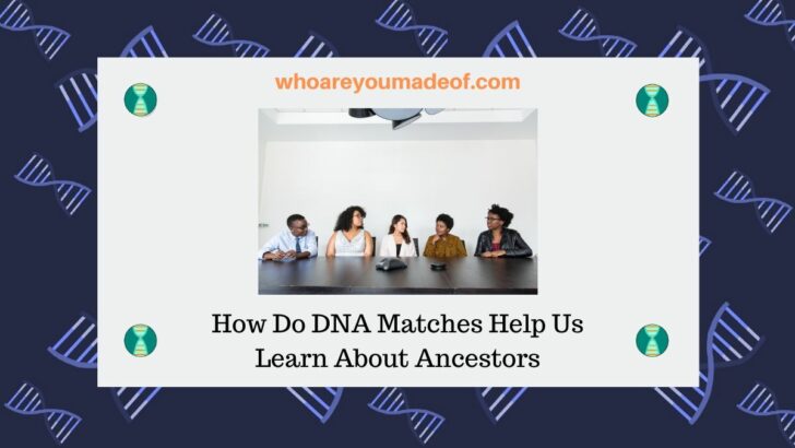 How Do DNA Matches Help Us Learn About Ancestors - Who Are You Made Of?