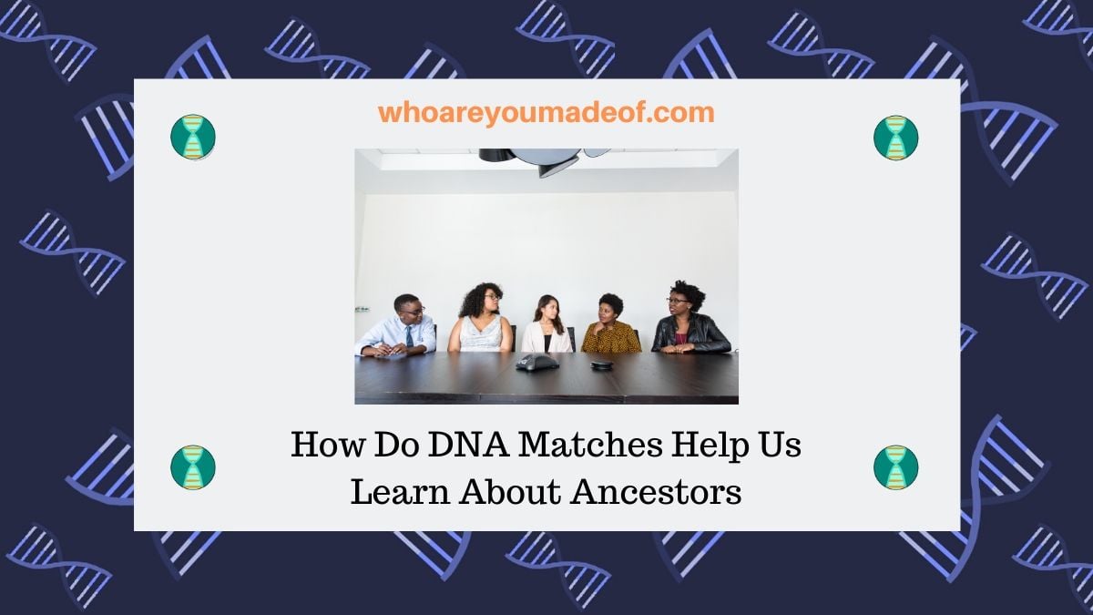 How Do DNA Matches Help Us Learn About Ancestors