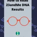 How to Read 23andMe DNA Results(1)