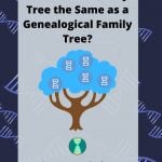 Is a Genetic Family Tree the Same as a Genealogical Family Tree_(1)