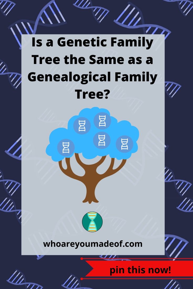 What Is A Genetic Family Tree? - Who Are You Made Of?