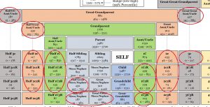 Need a DNA Centimorgan Chart? - Who are You Made Of?