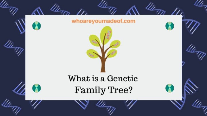 What is a Genetic Family Tree