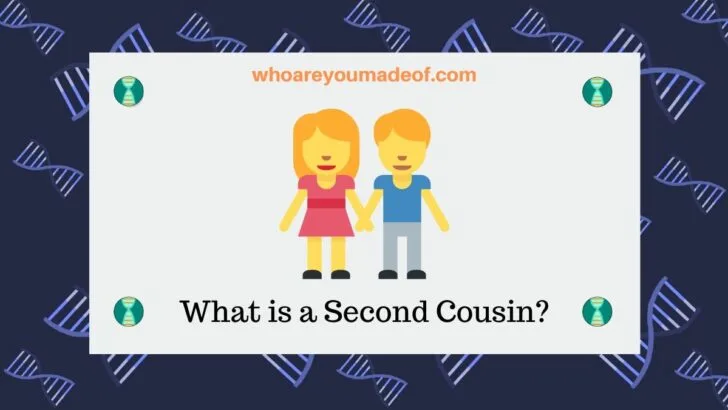 What is a Second Cousin_