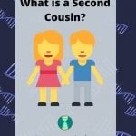 What is a Second Cousin_(1)