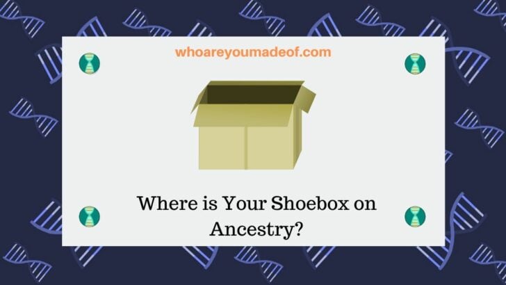 Where is Your Shoebox on Ancestry_