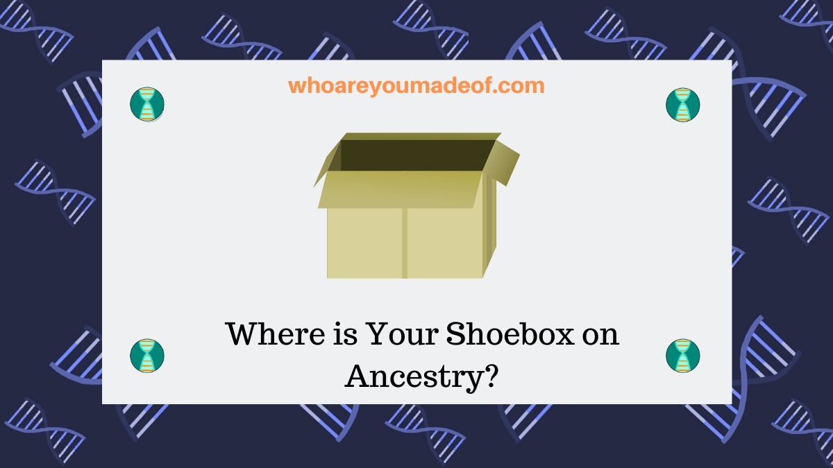 Where is Your Shoebox on Ancestry_