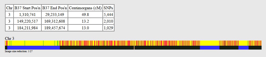 The image shows half-identical DNA segments shared between half siblings.  In this example, there are no significant fully-identical regions 