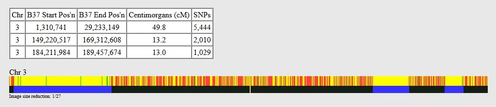 This is an example of the One to One tool on Gedmatch results, comparing DNA of two half-siblings.  We note some long half-identical segments as well as many small ones