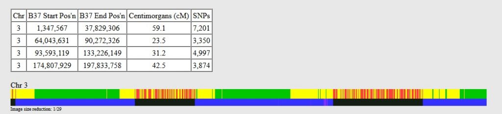 An example of One to One results between two full siblings.  They share a few long fully-identical regions, as well as some half-identical ones