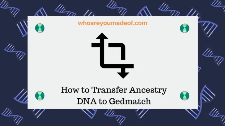 How to Transfer Ancestry DNA to Gedmatch