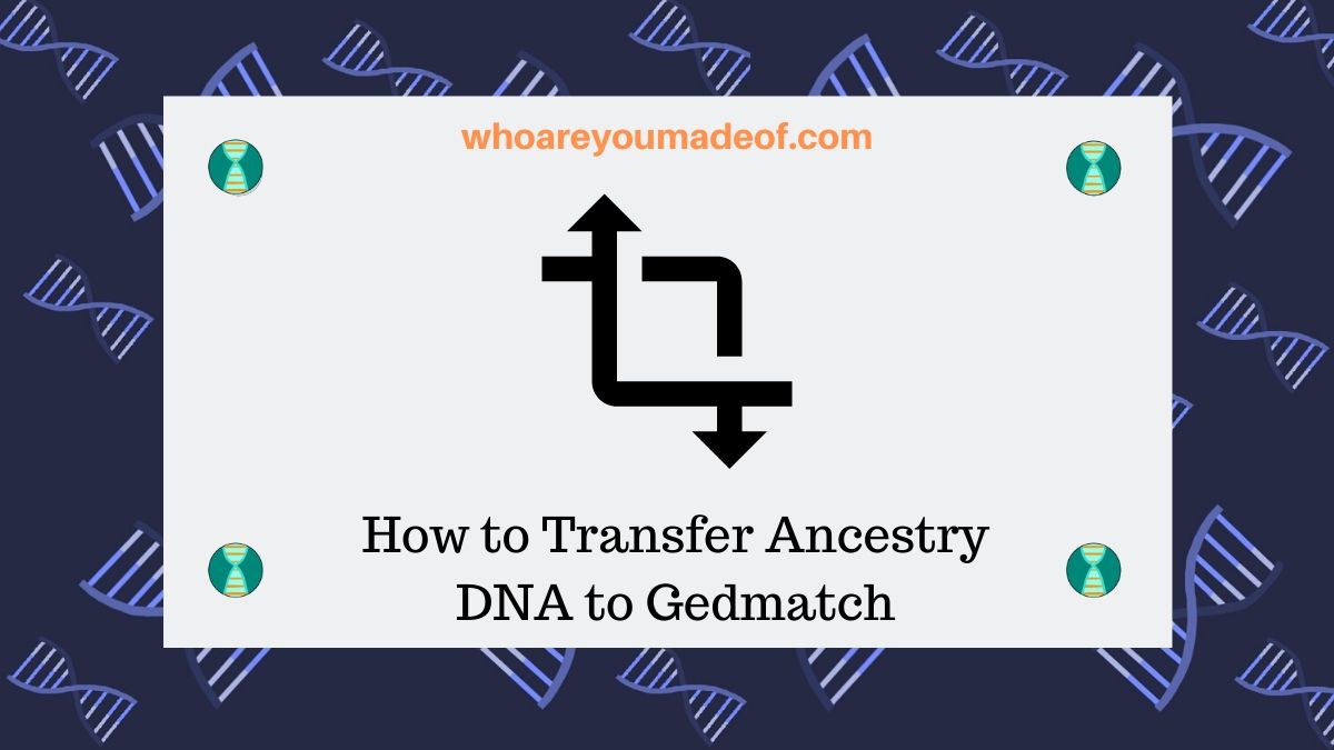 How to Transfer Ancestry DNA to Gedmatch