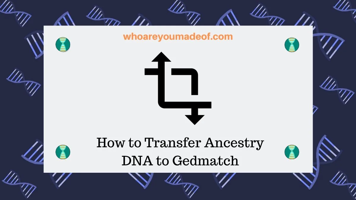 How To Transfer Ancestry Dna To Gedmatch Who Are You Made Of