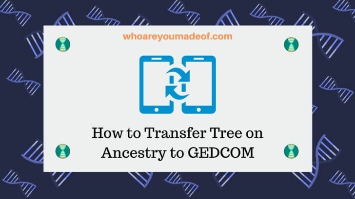 How to Transfer Tree on Ancestry to GEDCOM