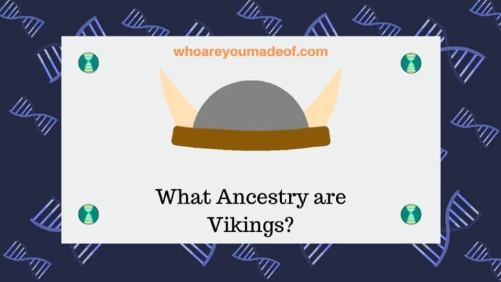 What Ancestry are Vikings_