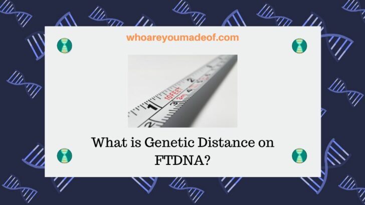 What is Genetic Distance on FTDNA_