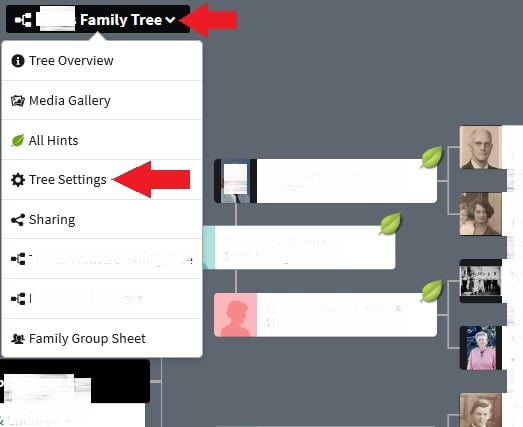 how to download family tree on ancestry to gedcom.  First, access tree settings from your main family tree view